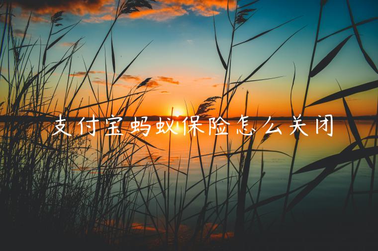 支付寶螞蟻保險(xiǎn)怎么關(guān)閉